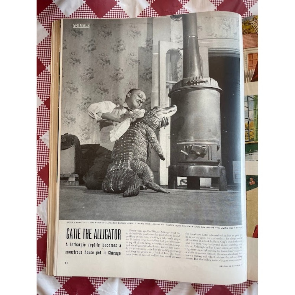 LIFE Magazine December 13 1948 Dwight D Eisenhower Crusade in Europe NO LABEL - Picture 8 of 12